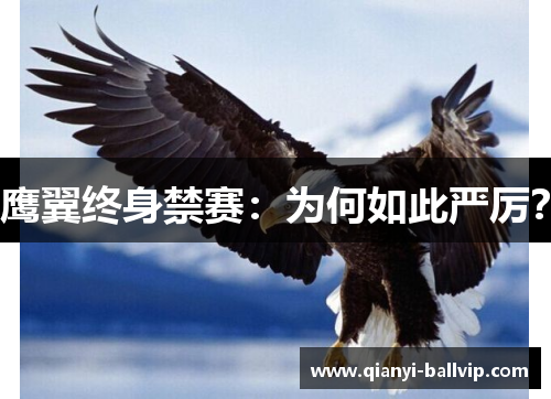 鹰翼终身禁赛：为何如此严厉？