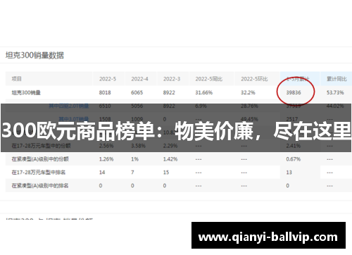 300欧元商品榜单：物美价廉，尽在这里