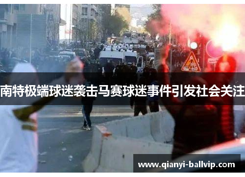 南特极端球迷袭击马赛球迷事件引发社会关注